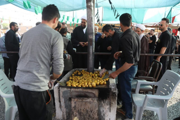 سرکشی از موکب های اربعینی همدان